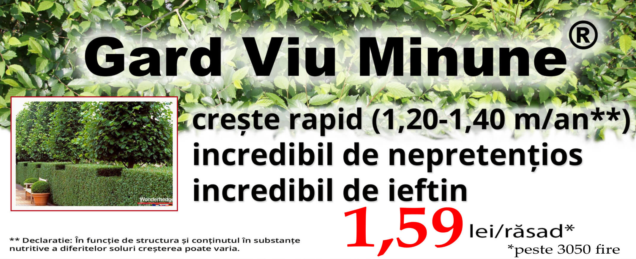 intro-gardviu