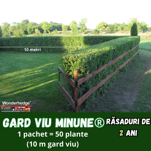 Gard Viu Minune pachet 50 fire